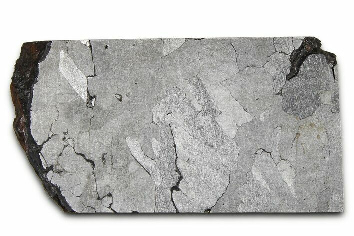 Nantan Iron Meteorite ( g) Slice - China #381549